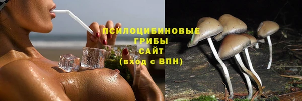 дмт Россошь