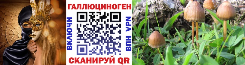 Псилоцибиновые грибы мицелий Лодейное Поле